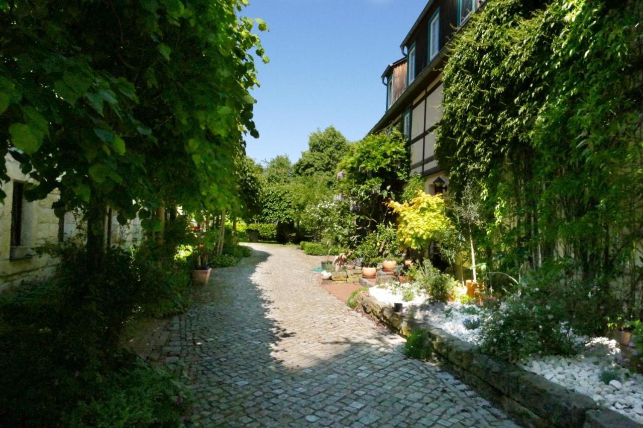 No.5 - Ferienwohnung Schkade Kleingiesshubel Kültér fotó